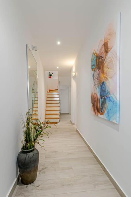 Agisilaos Apartments コルフ島 エクステリア 写真